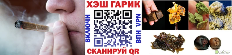 ГАШ Premium  Сокол 