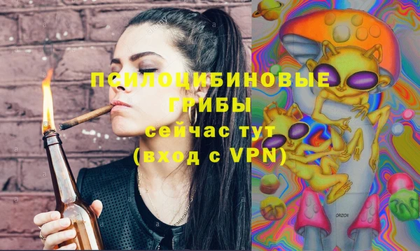 ECSTASY Каменногорск