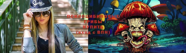 mdpv Каменск-Шахтинский