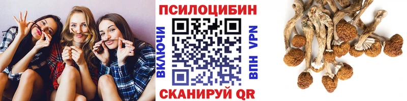 Галлюциногенные грибы Psilocybine cubensis  площадка формула  Сокол  купить  