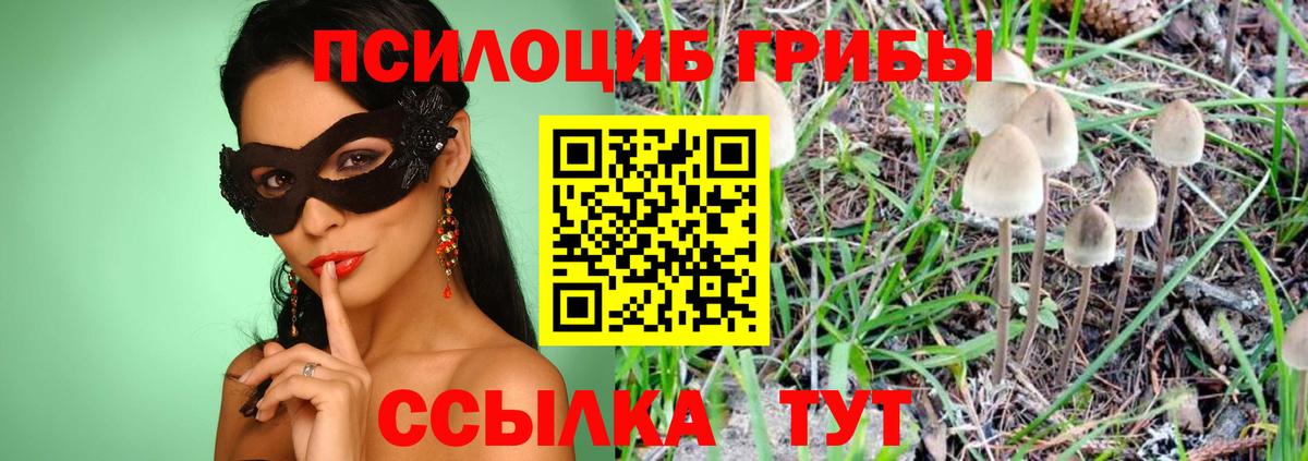 Галлюциногенные грибы GOLDEN TEACHER Сокол
